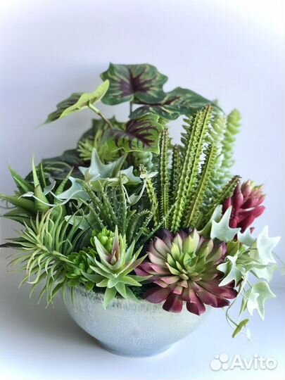 Суккуленты искусственные