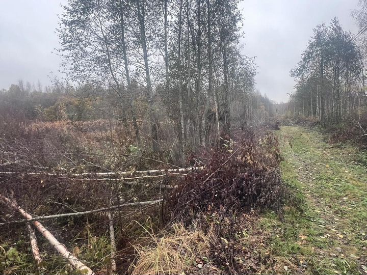 Участок 12 сот. (ИЖС)