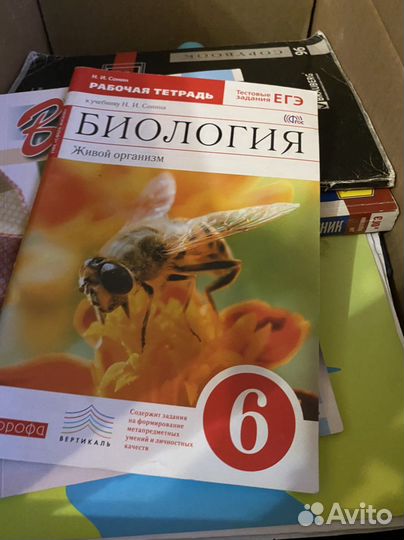 Учебники Книжки