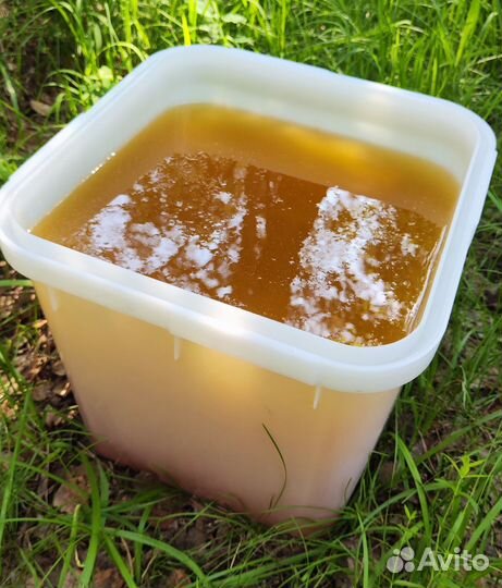 Опт мед натуральный алтайский от 16 кг