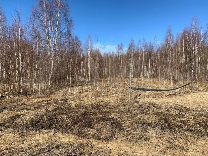 Участок 11,9 сот. (ИЖС)