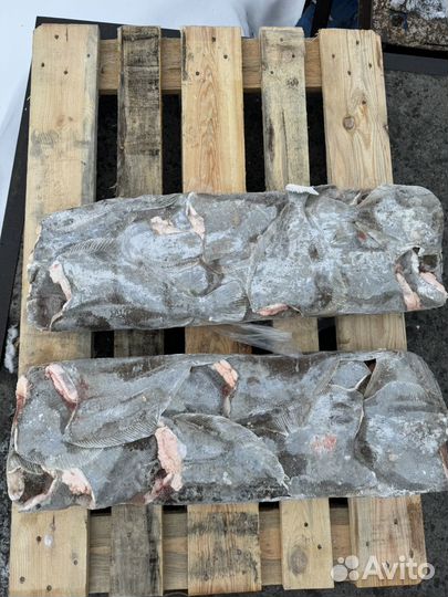 Камбала ерш свежемороженный