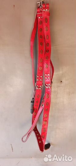 Ошейник Шлейка Поводок Намордник для крупных собак