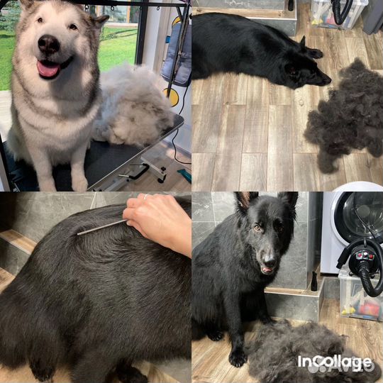 Груминг собак крупных пород