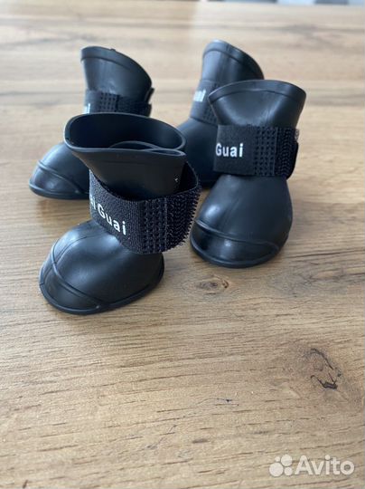 Обувь для собак