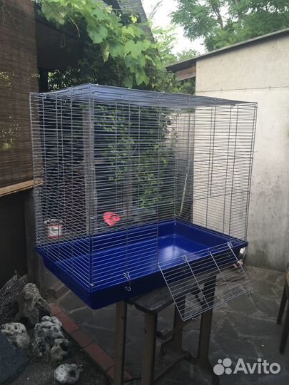 Большая клетка