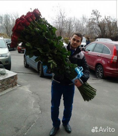 Красные розы гиганты