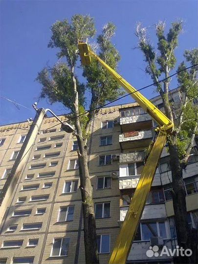 Спил деревьев, кронирование, обрезка веток