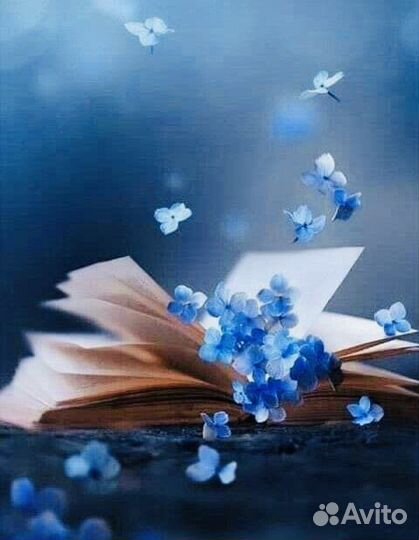 Литературный редактор, корректор