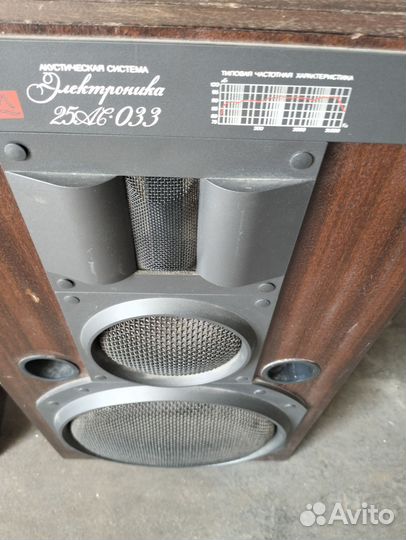 Акустическая система Электроника 25ас033