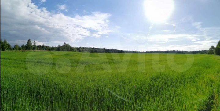 Участок 17 га (ИЖС)