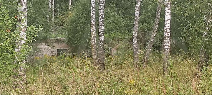 Участок 64 га (СНТ, ДНП)