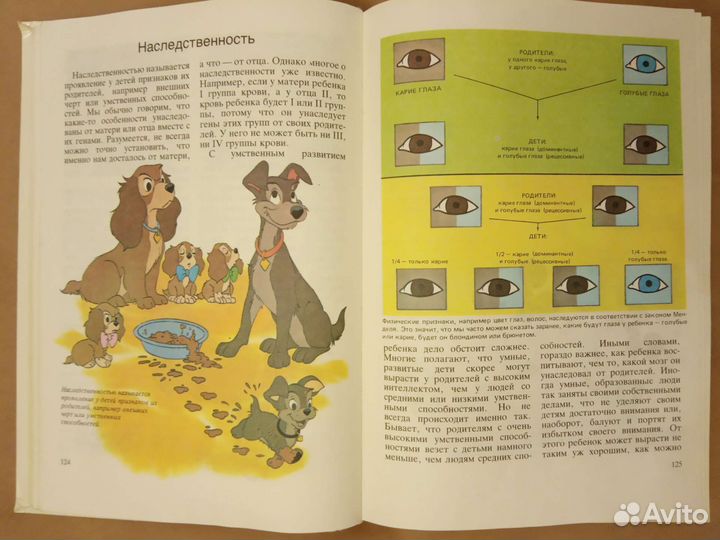 Книга детская Расти здоровым Ротенберг