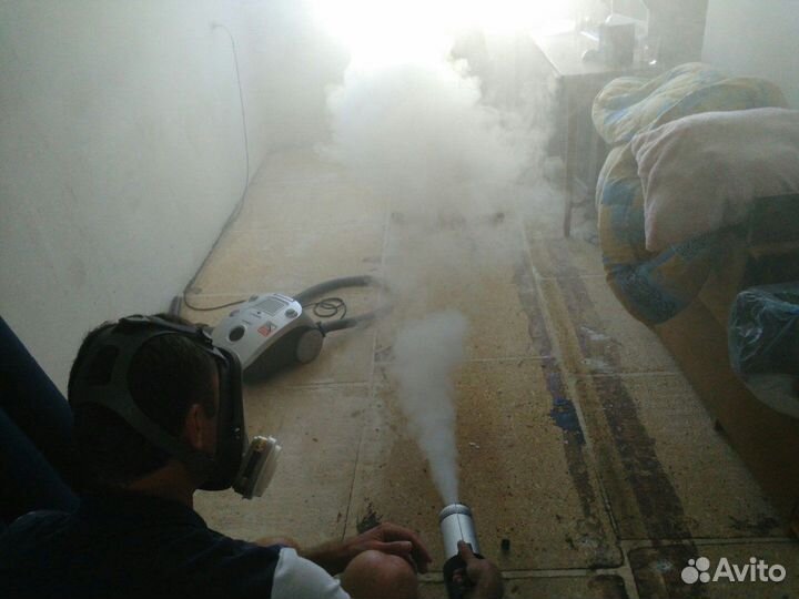 Уничтожение тараканов, клопов, блох. Дезинфекция