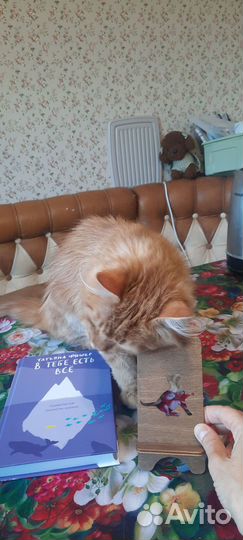 Кот Портос