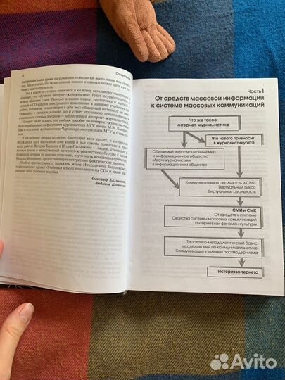 Книга по интернет-журналистике, Калмыков, Коханова