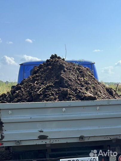 Перегной 3 годовалый