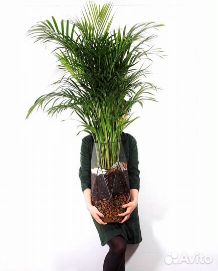 Доставка цветов, флорариум