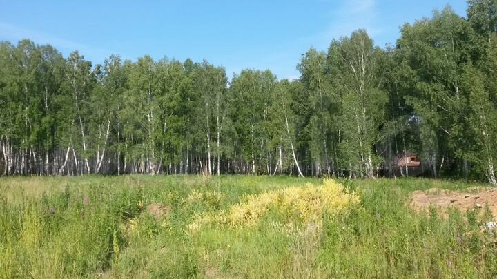 Участок 15 сот. (СНТ, ДНП)