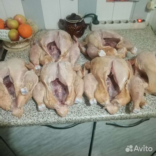 Мясо курицы бройлера