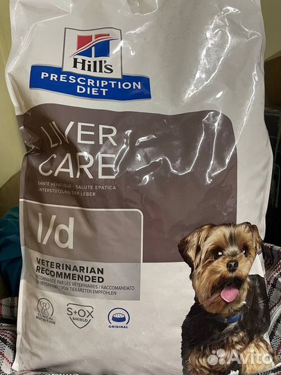 Корм для собак