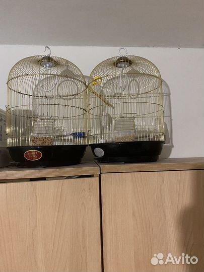 Клетка для птиц