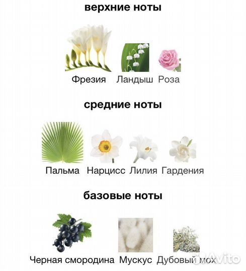 Духи Gucci rush 2 (Гучи Раш 2 )