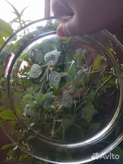 Графин СССР