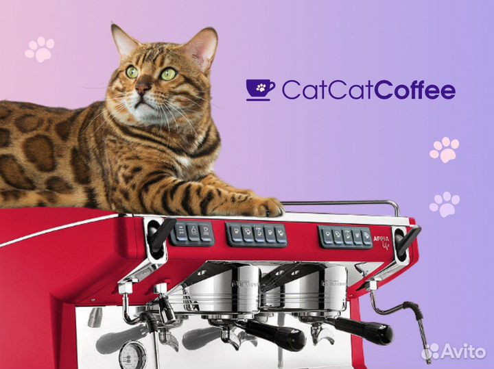 Кофемашина Nuova Simonelli Appia Life 2 GR S