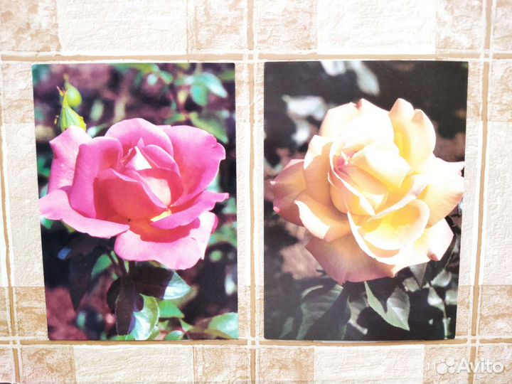 Лучшие открытки СССР