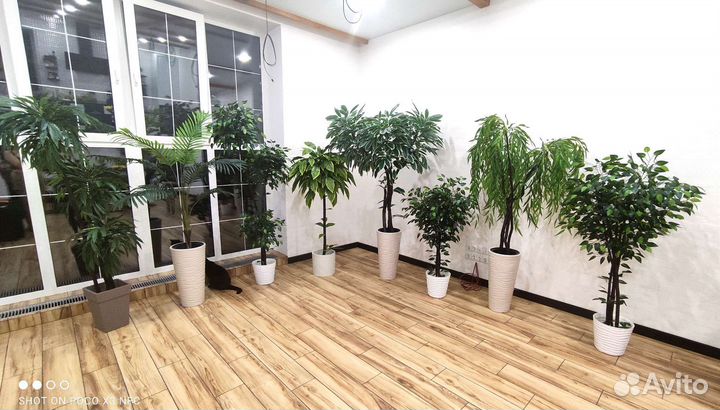 Искусственные деревья, пальмы для декора