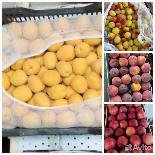 Фрукты абрикос, нектарин, персик, слива, апельсин