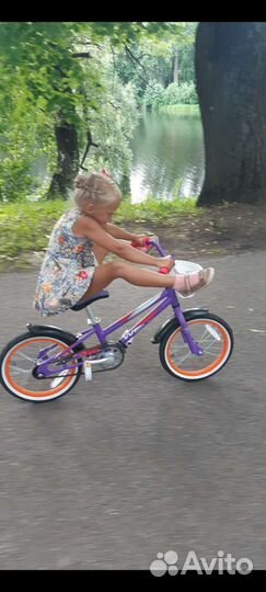 Детский велосипед Welt Pony 16'