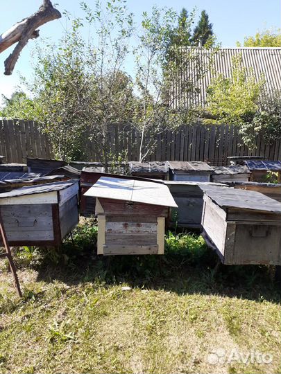 Ульи для пчел