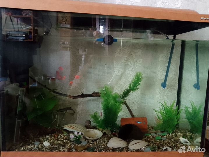 Аквариум