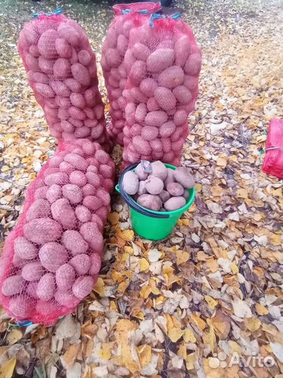 Продам картофель с доставкой