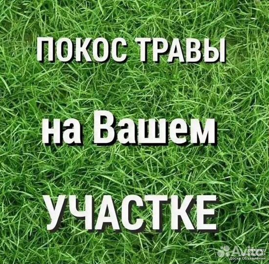Покос травы