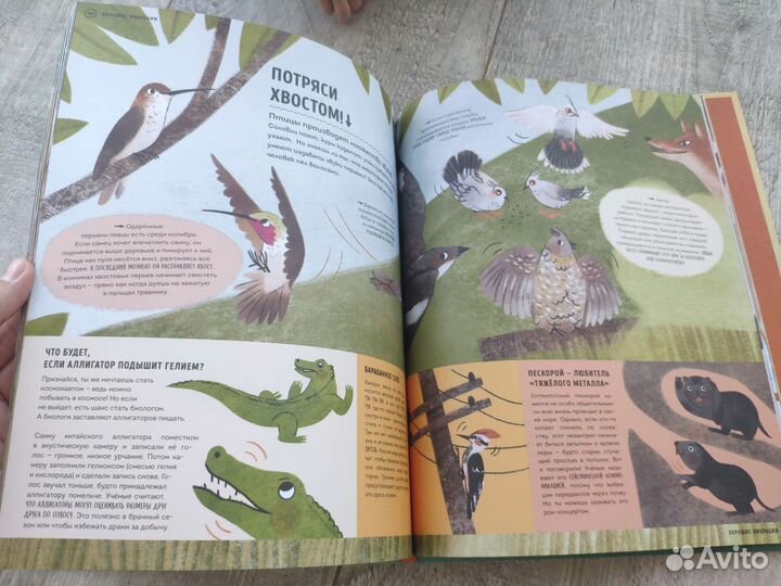 О чем рычит тигр новая