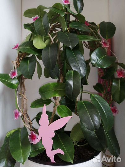 Изменения, которые Вы выбираете