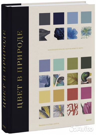 Цвет в природе. Коллекция красок окружающег