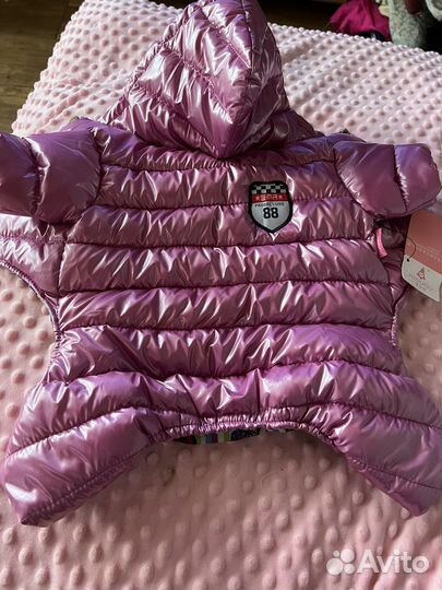 Комбинезон для маленькой собаки