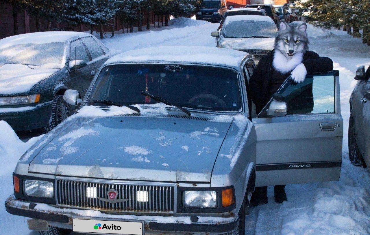 ГАЗ 3102 Волга: фото владельца