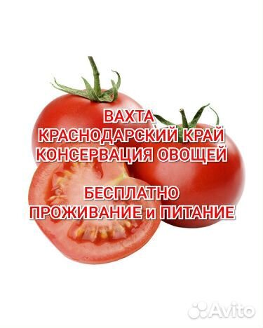 Вахта без проверки сб трёхразое питание Юг