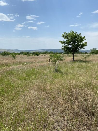 Участок 6 сот. (ИЖС)