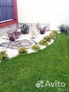 Газон от производителя