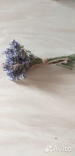 Букет из лаванды