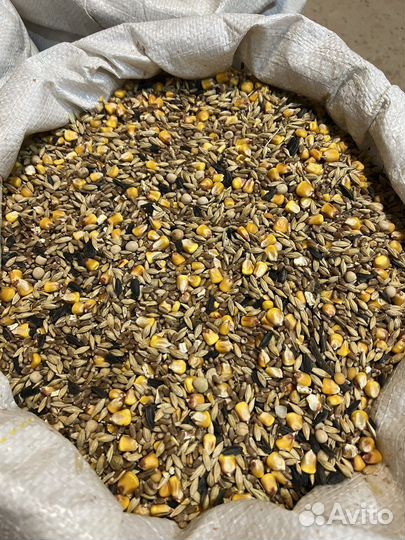 Зерносмесь