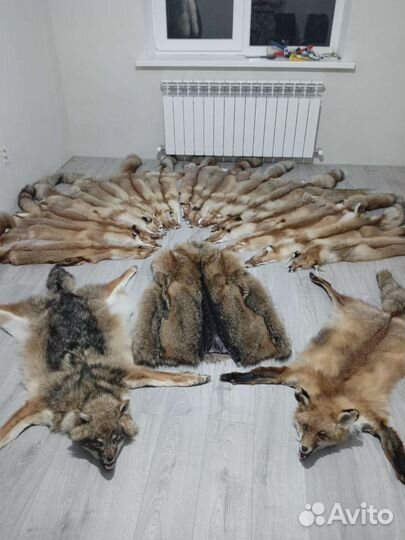 Шкуры лисицы