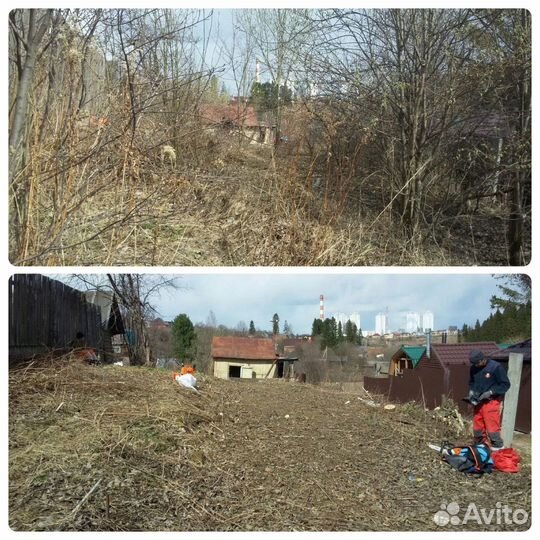 Уборка участка, расчистка участка от деревьев