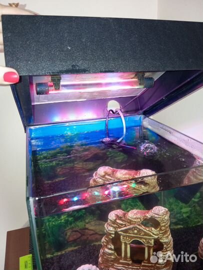 Аквариум куб 30*30